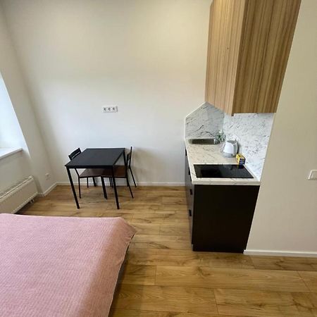 Airport Apartment 22 Self Check-In VNO Kültér fotó